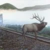 Train Enthusiast Vendors 48856 Elk Tracks 550 Piece Puzzle